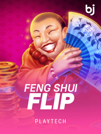 Feng Shui Flippng game cover